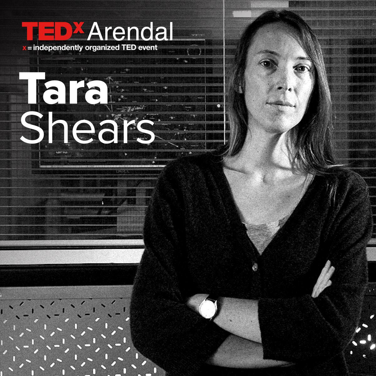 Tara Shears